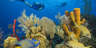 Belice declara moratoria petrolera para proteger sus corales